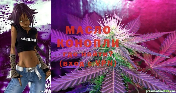 ешки Мегион